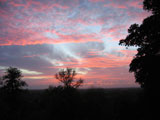 richmondparksunset.jpg