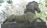 unicorn.jpg